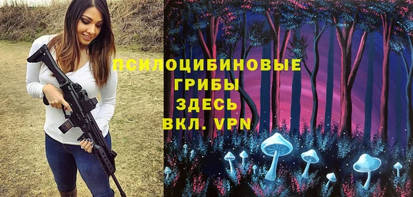 ешки Алзамай